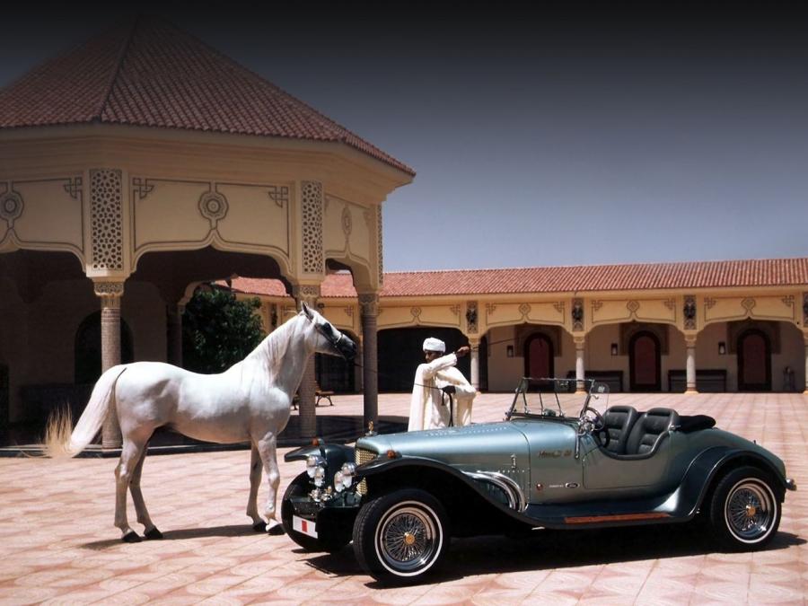  CANAM Menara II Roadster 2002 года  (фото 4 из 4)